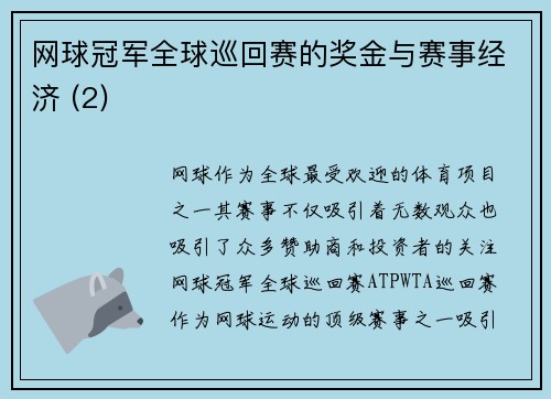 网球冠军全球巡回赛的奖金与赛事经济 (2)